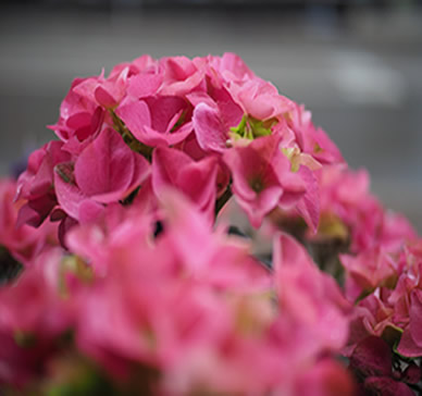 Yoga-World-Neuenburg